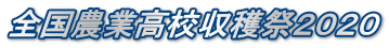 S_ƍZnՂQOQO