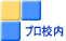 vZ